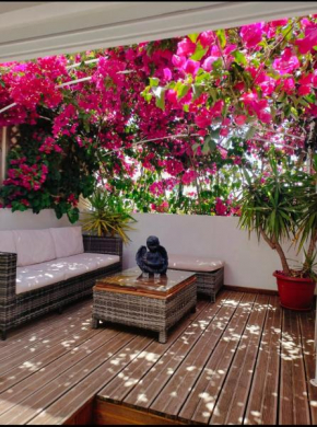 CASA DA AVO by Ammonite&Co